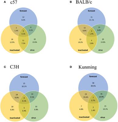 Integrative Analysis of HTNV Glycoprotein Derived MHC II Epitopes by In Silico Prediction and Experimental Validation